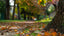 Kastanienallee im Herbst